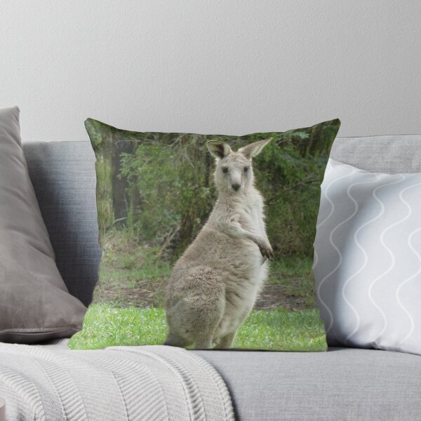 Item preview, Look at me, young kangaroo at Bombah Point designed and sold by DashTravels.
