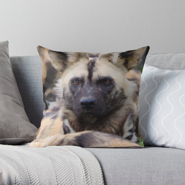 Painted Dog Throw Pillow