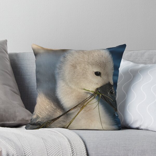Item preview, Feeding time for baby Cygnet ~ Cleator Pond designed and sold by Jan Fialkowski.