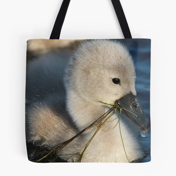 Item preview, Feeding time for baby Cygnet ~ Cleator Pond designed and sold by Jan Fialkowski.