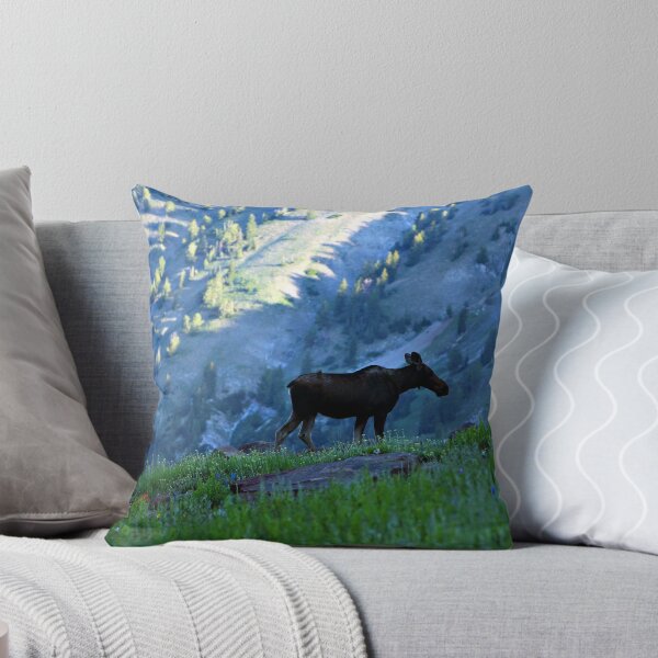 Item preview, Albion Basin 2, UT designed and sold by Kevin McInnis.