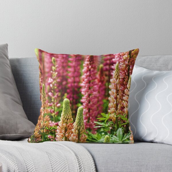 Item preview, Summer....Autumn....Winter....Spring! designed and sold by Sharon House.