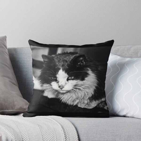 Item preview, Portrait of a Stray Cat #1 designed and sold by BRVA.