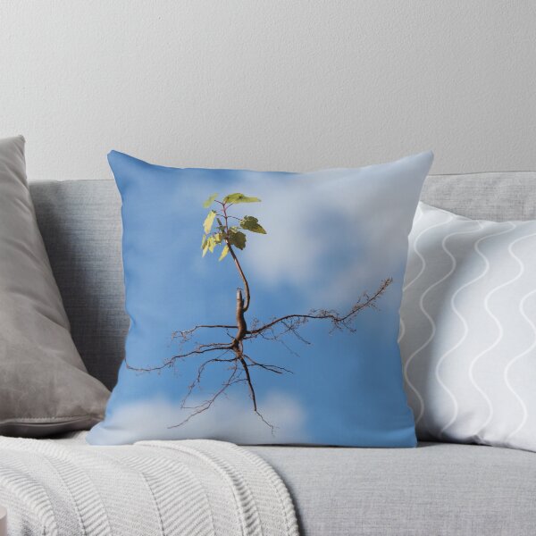 Item preview, Rooted in the Clouds designed and sold by Bob Hardy.