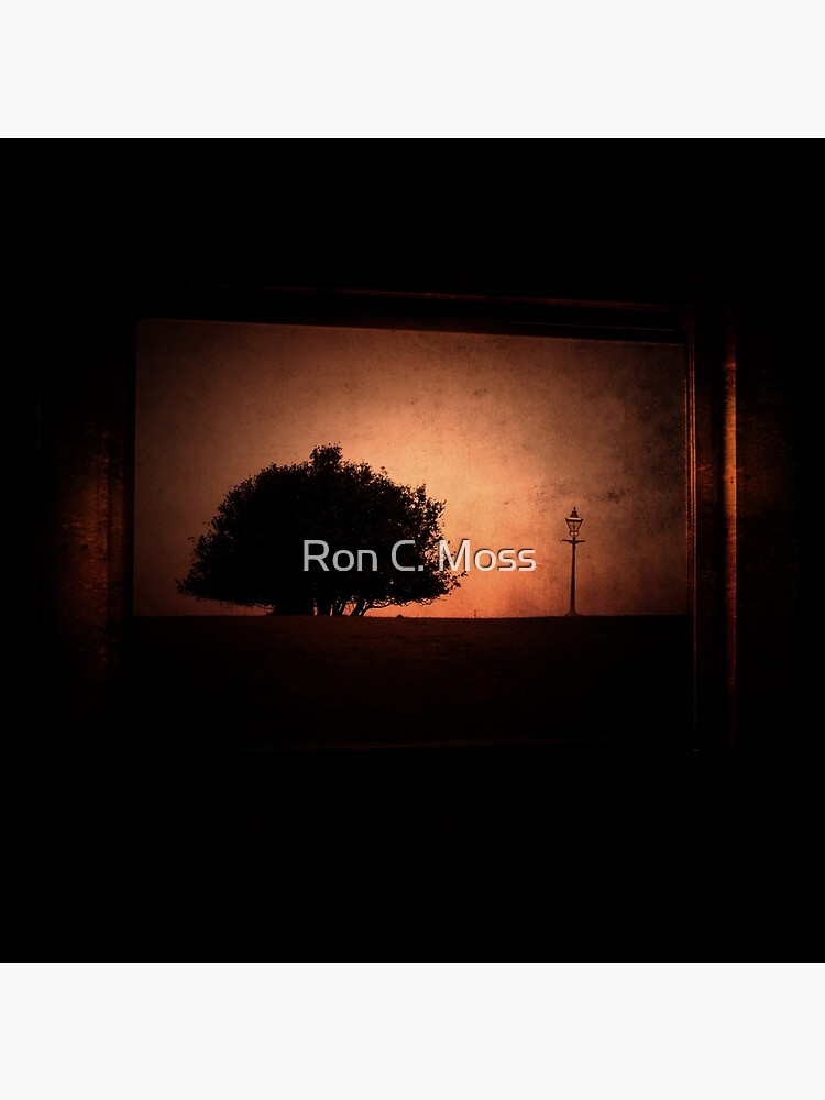 L a t e by ronmoss