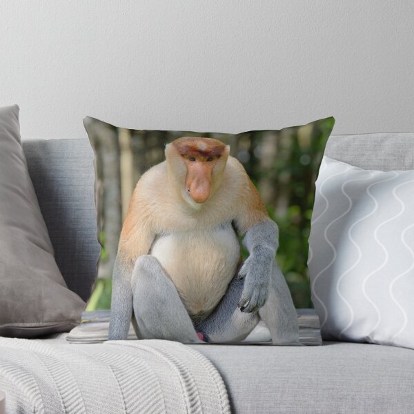 Item preview, Male proboscis monkey - Nasalis larvatus designed and sold by Andrew Trevor-Jones.