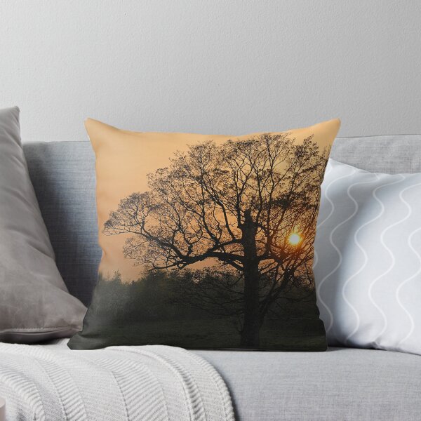 Artikelvorschau, sunset tree entworfen und verkauft von Barry Culling.