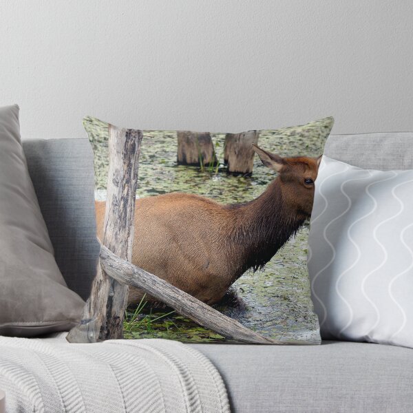 Item preview, I'm Stuck, but determined to get out designed and sold by vette.