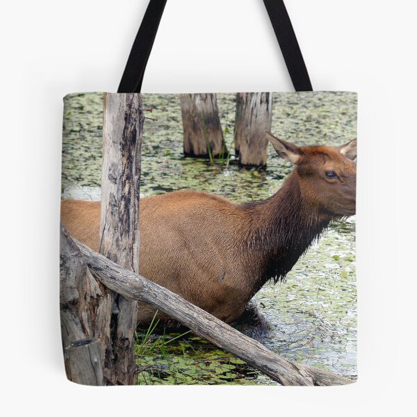 Item preview, I'm Stuck, but determined to get out designed and sold by vette.