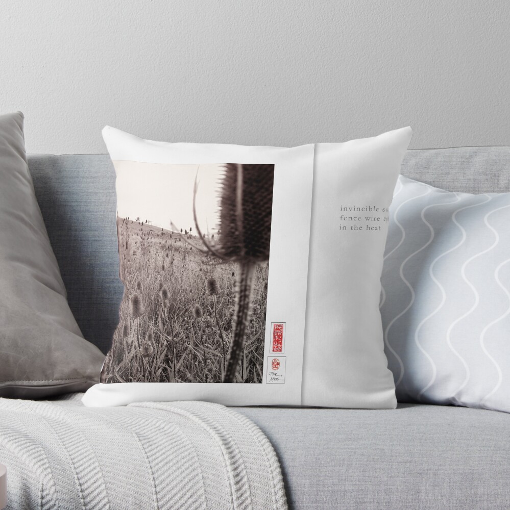 Mindfulness In Mononchrome - Summer Throw Pillow