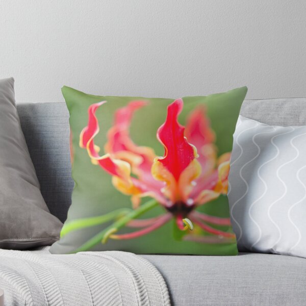 Item preview, The Glory Lily (Gloriosa superba) designed and sold by Tim Cowley.