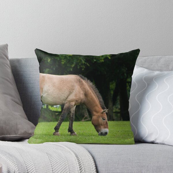 Item preview, Przewalski horse designed and sold by Steve Purnell Photography.