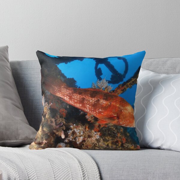 Item preview, hmas swan wreck 1,dunsborough,western australia designed and sold by peterbeaton.