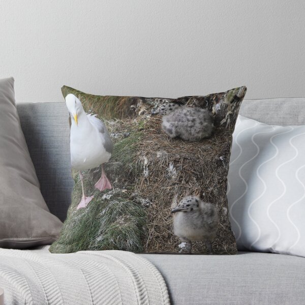 Item preview, Herring Gull and chicks designed and sold by johnritchie.