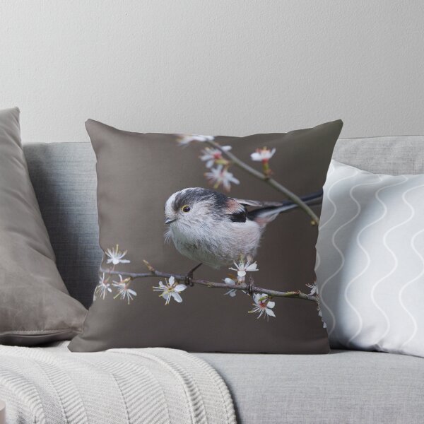 Artikelvorschau, Langschwanzmeise und Mayflower entworfen und verkauft von wildlifephoto.