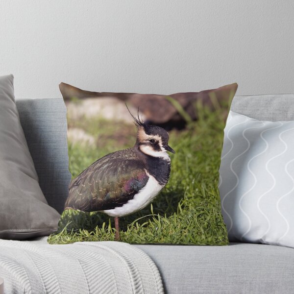 Item preview, Lapwing (Vanellus vanellus) designed and sold by ten2eight.
