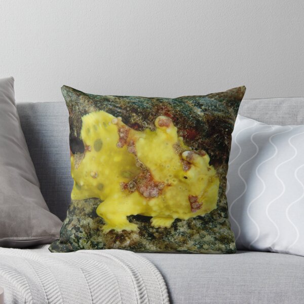 Item preview, Warty frogfish - Antennarius maculatus designed and sold by Andrew Trevor-Jones.