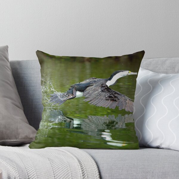 Item preview, Pied Cormorant designed and sold by John Van Den Broeke.