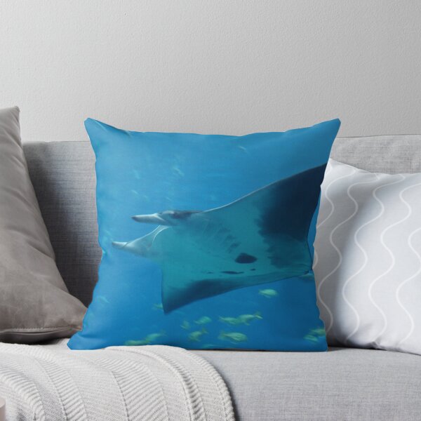 Item preview, Manta Ray designed and sold by Rachelo.