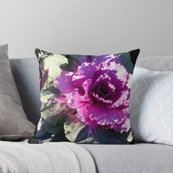 Artikelvorschau, Purple Cabbage entworfen und verkauft von Amy Herrfurth.