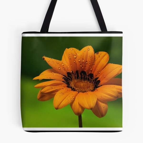 Item preview, African daisy designed and sold by AussieBryan.