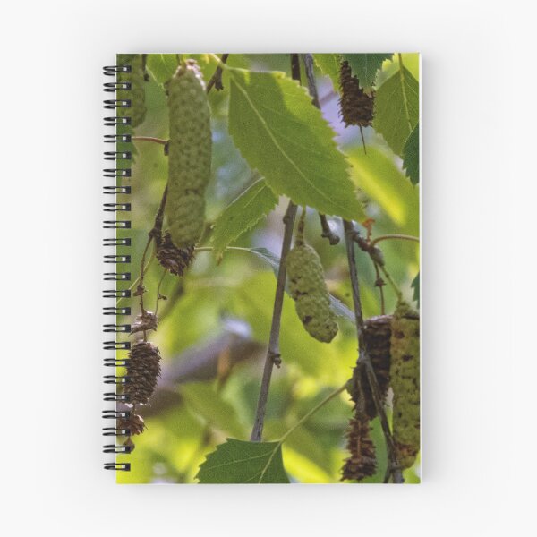 Item preview, Outside my first Currie Wing room, Buds & leaves 20190301 0087  designed and sold by Fred Mitchell.