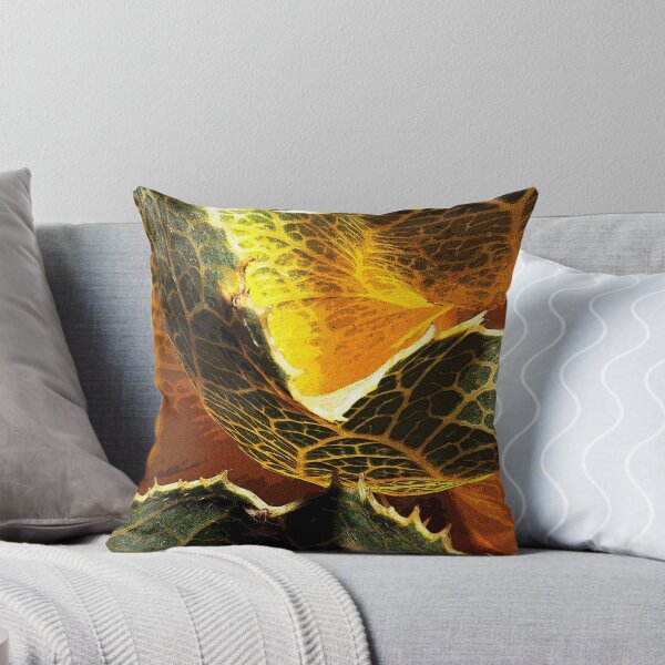 Item preview, Royal Hakea (Hakea victoria) designed and sold by Colin White.