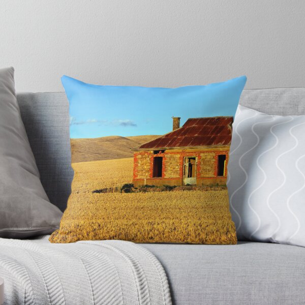 Abandoned Mid North Homestead Throw Pillow