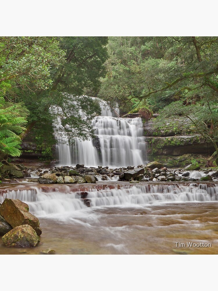 Liffey Falls, Tasmania by wootton60