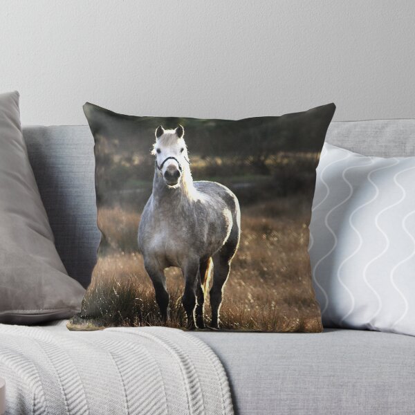 King of the Hill Throw Pillow