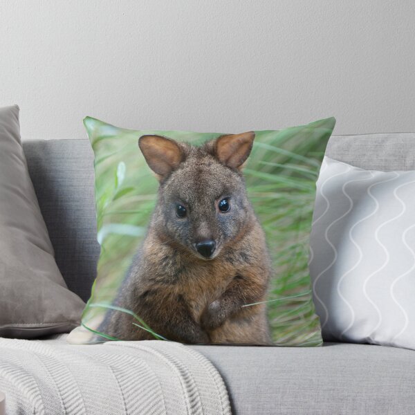 Item preview, Quick and Nervous designed and sold by paulmcardle.