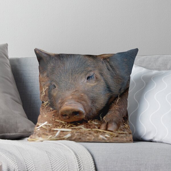 Item preview, Perfect Piglet XI designed and sold by Tamara  Kenneally.