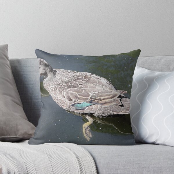 Item preview, A Ducks Reflection..... designed and sold by cathywillett.