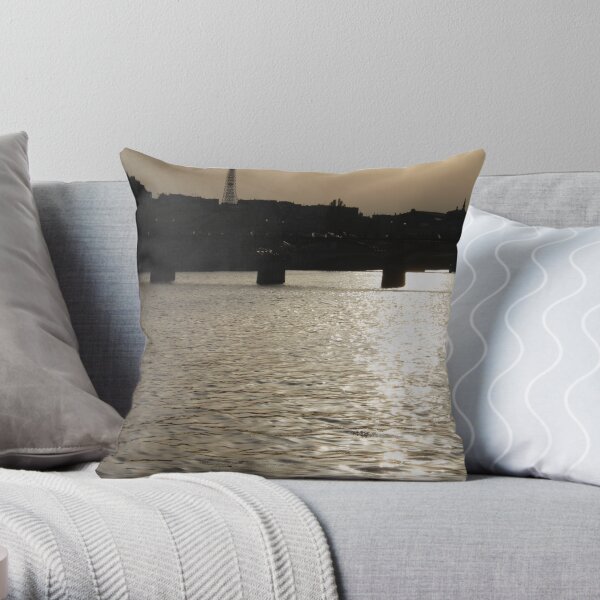 Paris - Seine reflections August 2011 Throw Pillow