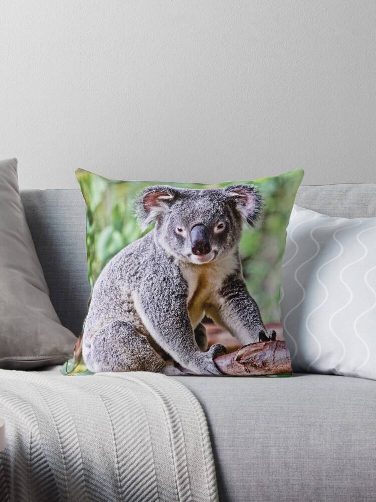 Koala Bear Australian Icon Throw Pillow By Thirumurugan Redbubble