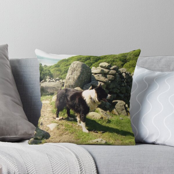 Item preview, A walk in the hills with Indy designed and sold by Michael Haslam.