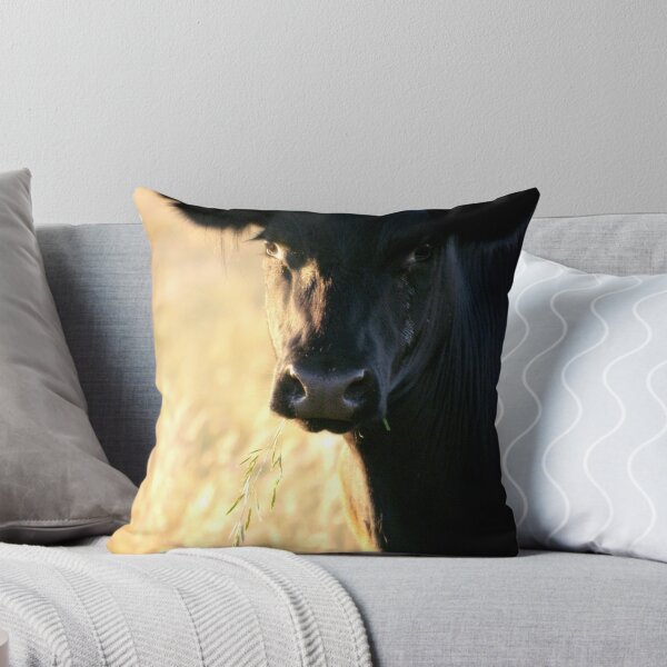 Item preview, Young Steer at Sunset designed and sold by Tamara  Kenneally.