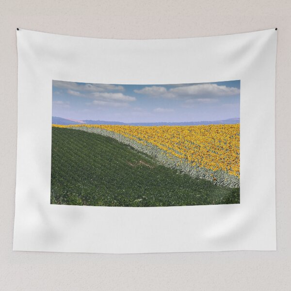Item preview, sunflower and soybean field in summer agriculture designed and sold by goceris.