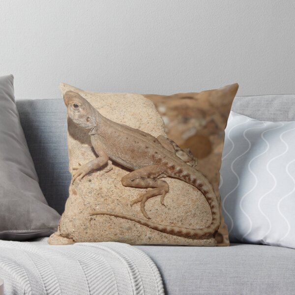 Item preview, Ctenophorus gibba_Maree_SA designed and sold by tiliqua.