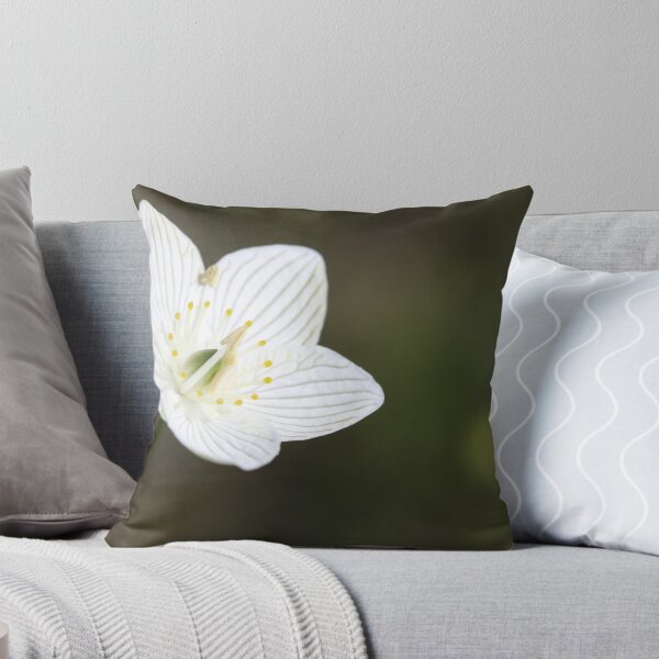 Aperçu de l'œuvre White Flower créée et vendue par Heidi Labusch.