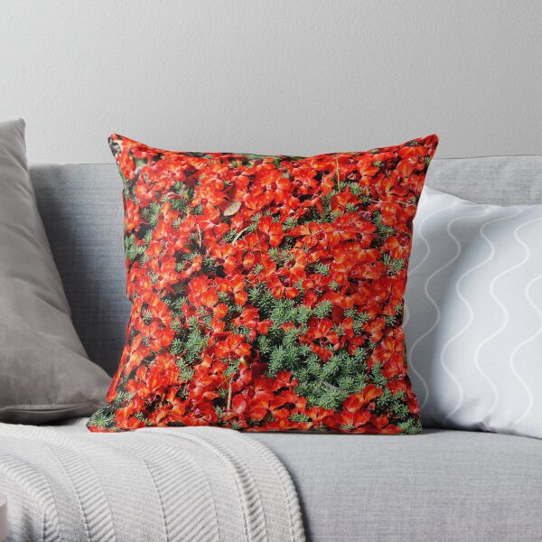 Red Lechenaultia 2 (L. formosa) Throw Pillow