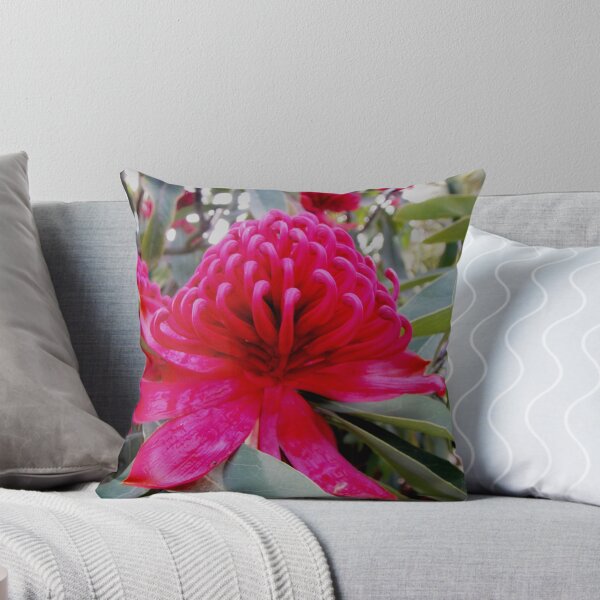 Item preview, Waratah, Tasmanian Flower designed and sold by Wendy Dyer.