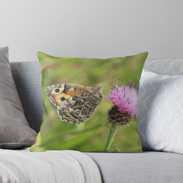 Artikelvorschau, Grayling Butterfly on Knapweed, Ystrad Mynach (South Wales) entworfen und verkauft von Michael Field.