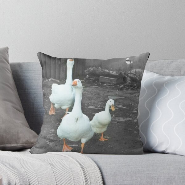 Item preview, 2 Geese 1 Duck designed and sold by timtopping.