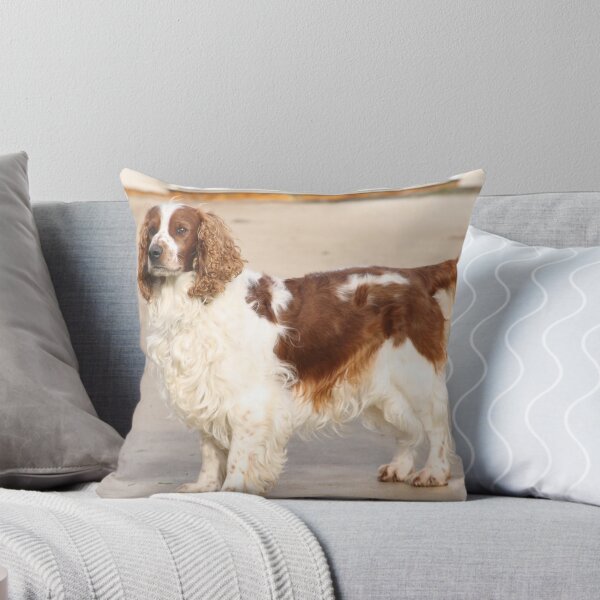 Item preview, JMH Welsh Springer Spaniels designed and sold by NickChase.
