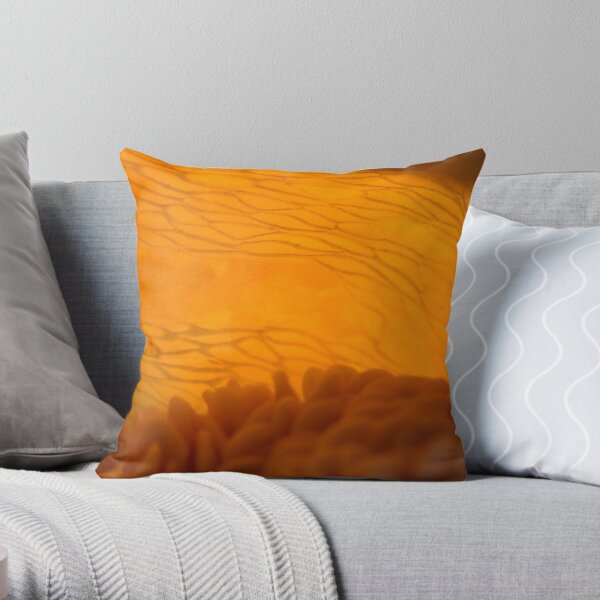 glowing Throw Pillow