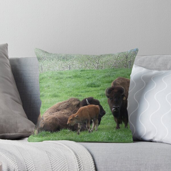 Item preview, Buffalo Family designed and sold by James Brotherton.