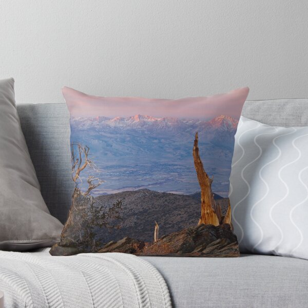 Item preview, Bristlecone Bishop Sunrise designed and sold by Nolan Nitschke.