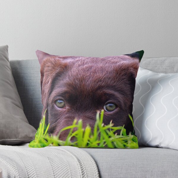 Item preview, Cadie in the grass designed and sold by HayleyJS.