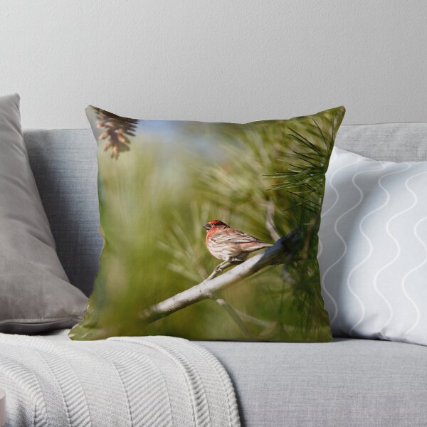 House Finch on Green Throw Pillow
